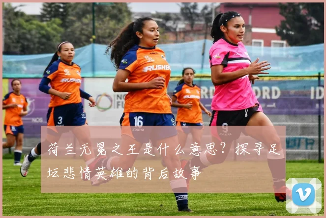 荷兰无冕之王是什么意思？探寻足坛悲情英雄的背后故事