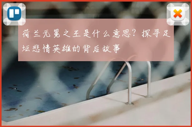 荷兰无冕之王是什么意思？探寻足坛悲情英雄的背后故事